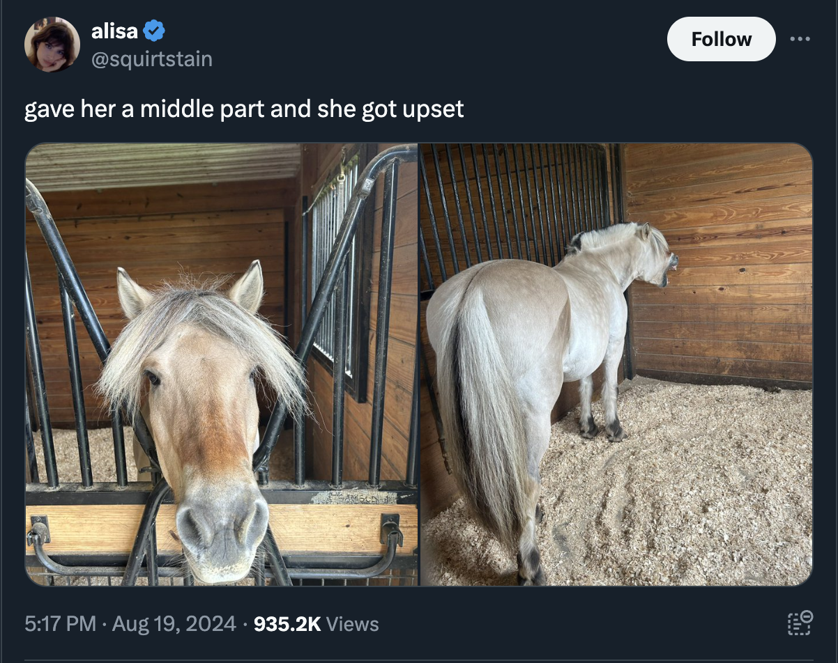 working animal - alisa gave her a middle part and she got upset . Views